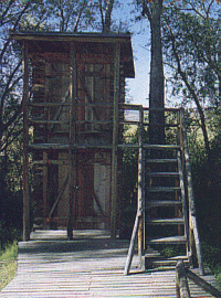 Two Story Outhouse